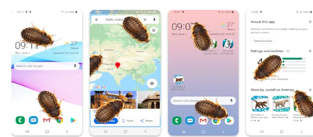 Cockroach in phone_