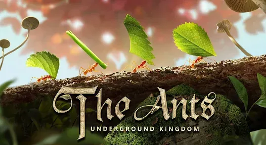 The Ants _