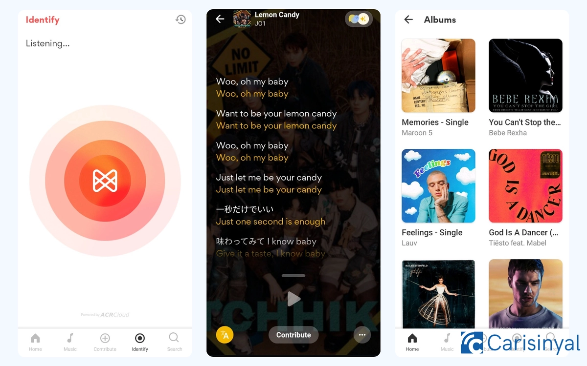 Aplikasi pendeteksi musik_Musixmatch_