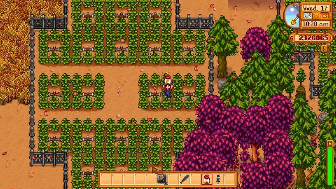 stardew valley