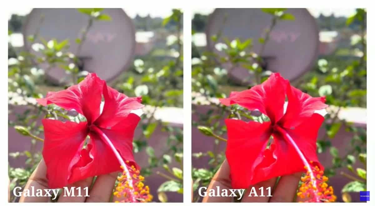 samsung galaxy a11 perbandingan kamera (3)