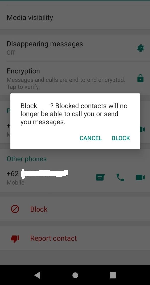 Cara agar WhatsApp Tidak Terlihat Online dengan Mudah 63
