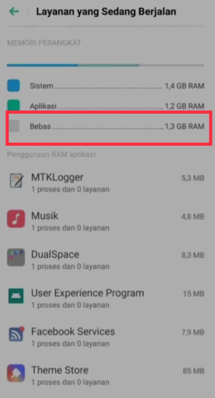 2 RAM OPPO (1)