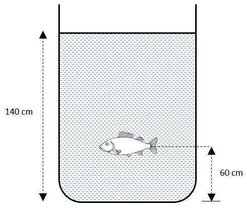 Contoh Pembuatan Ilustrasi 2 – Ikan dalam Bejana 13_