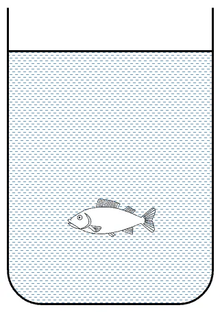 Contoh Pembuatan Ilustrasi 2 – Ikan dalam Bejana 9_