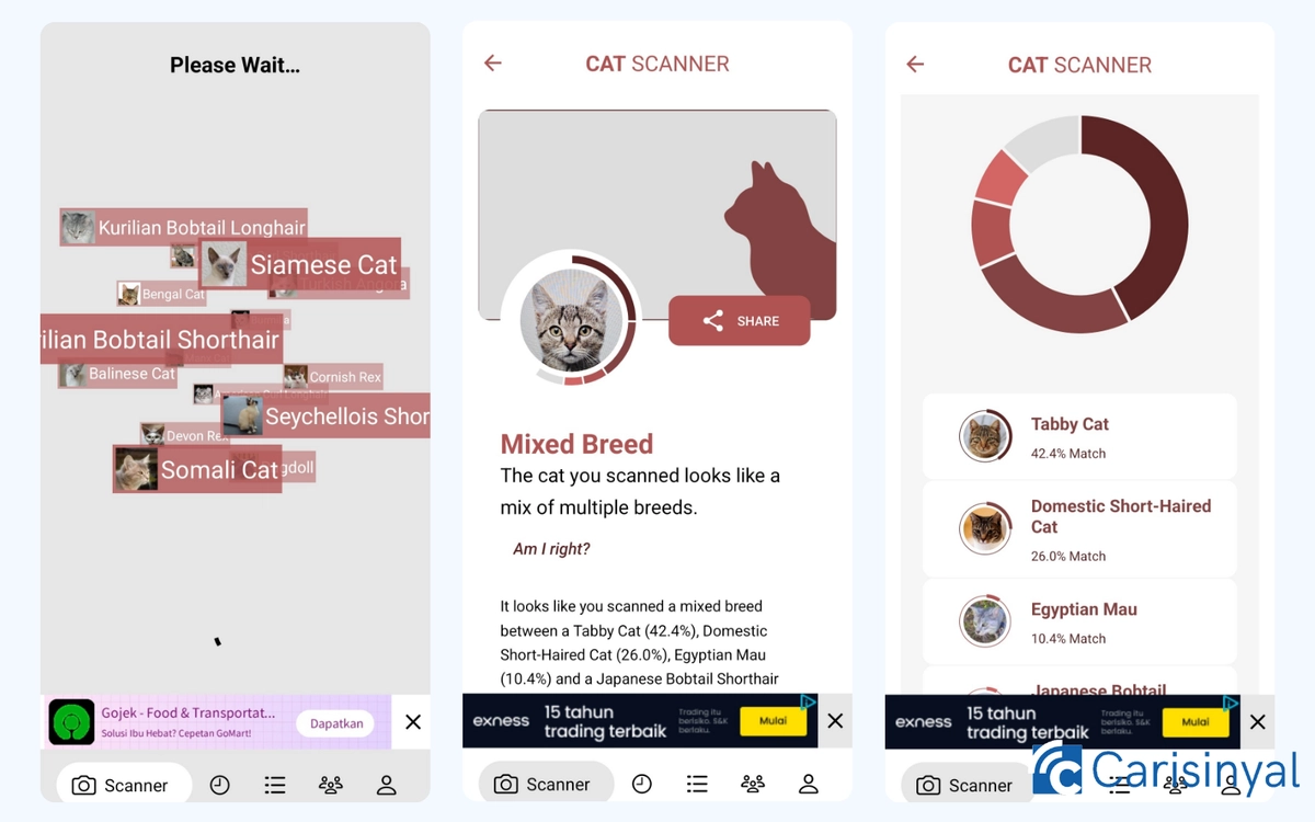 Cat Scanner_