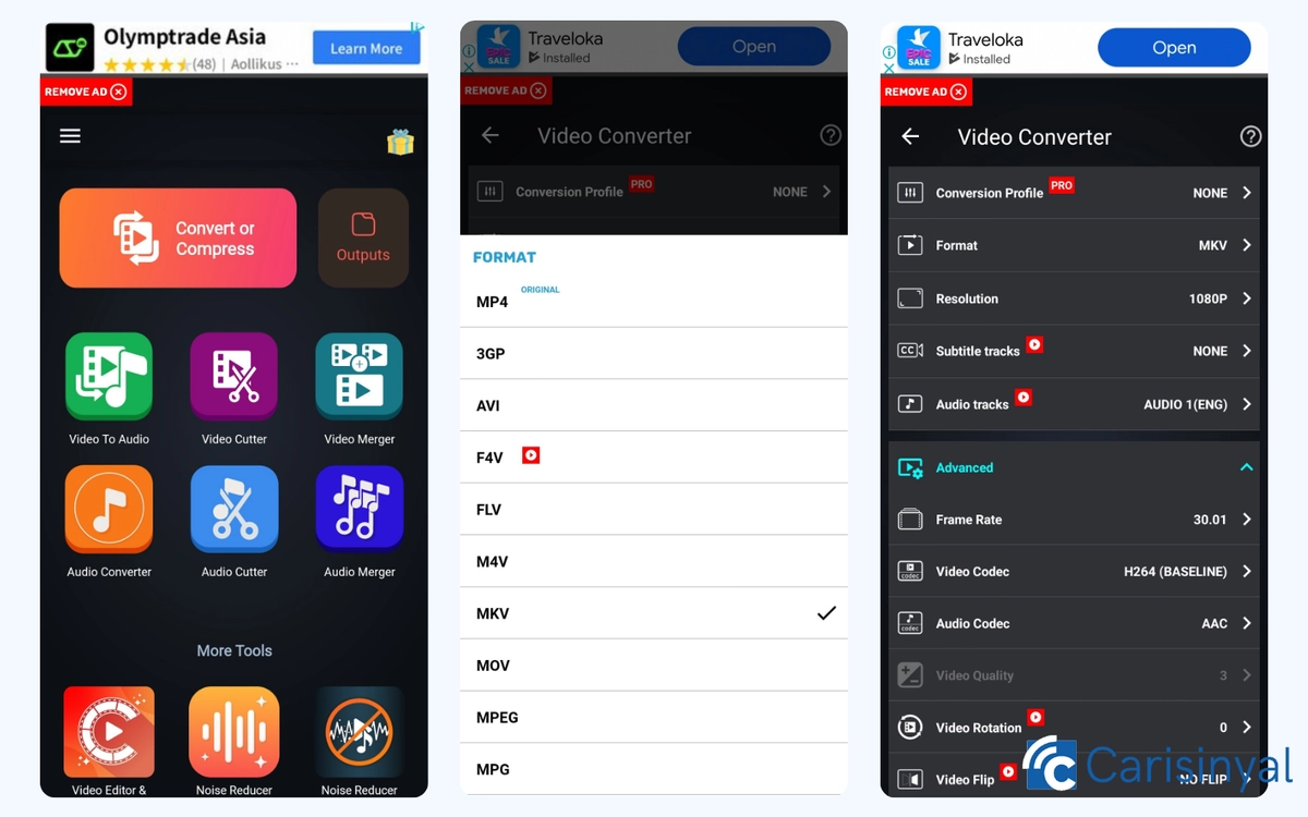 Video Converter by Invers AI_
