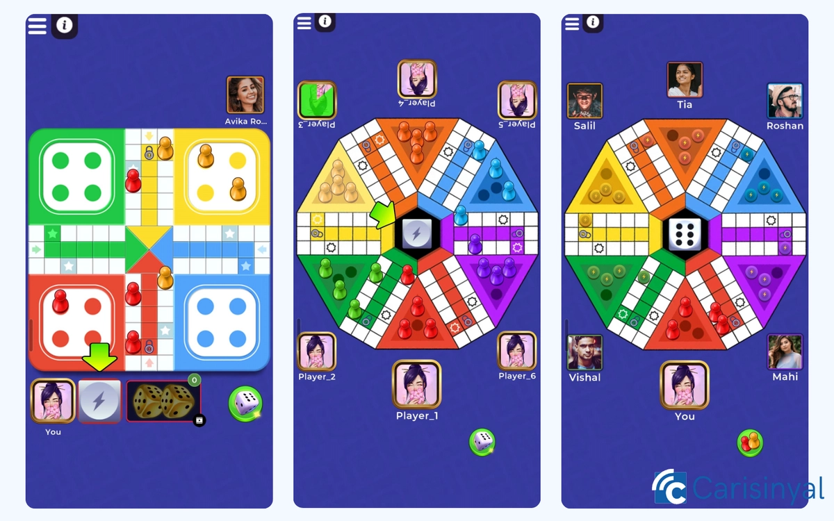 Ludo Superstar_