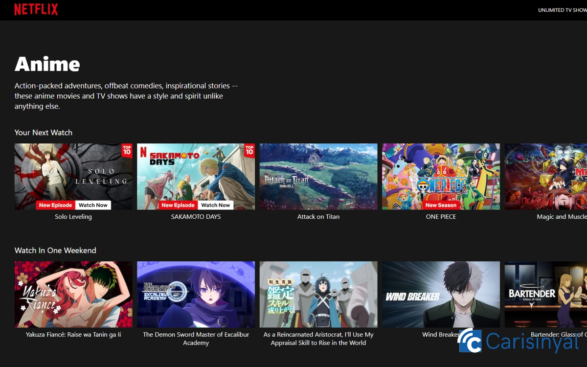 Situs streaming anime_Netflix_