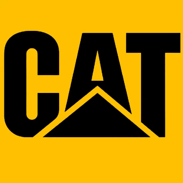 logo cat