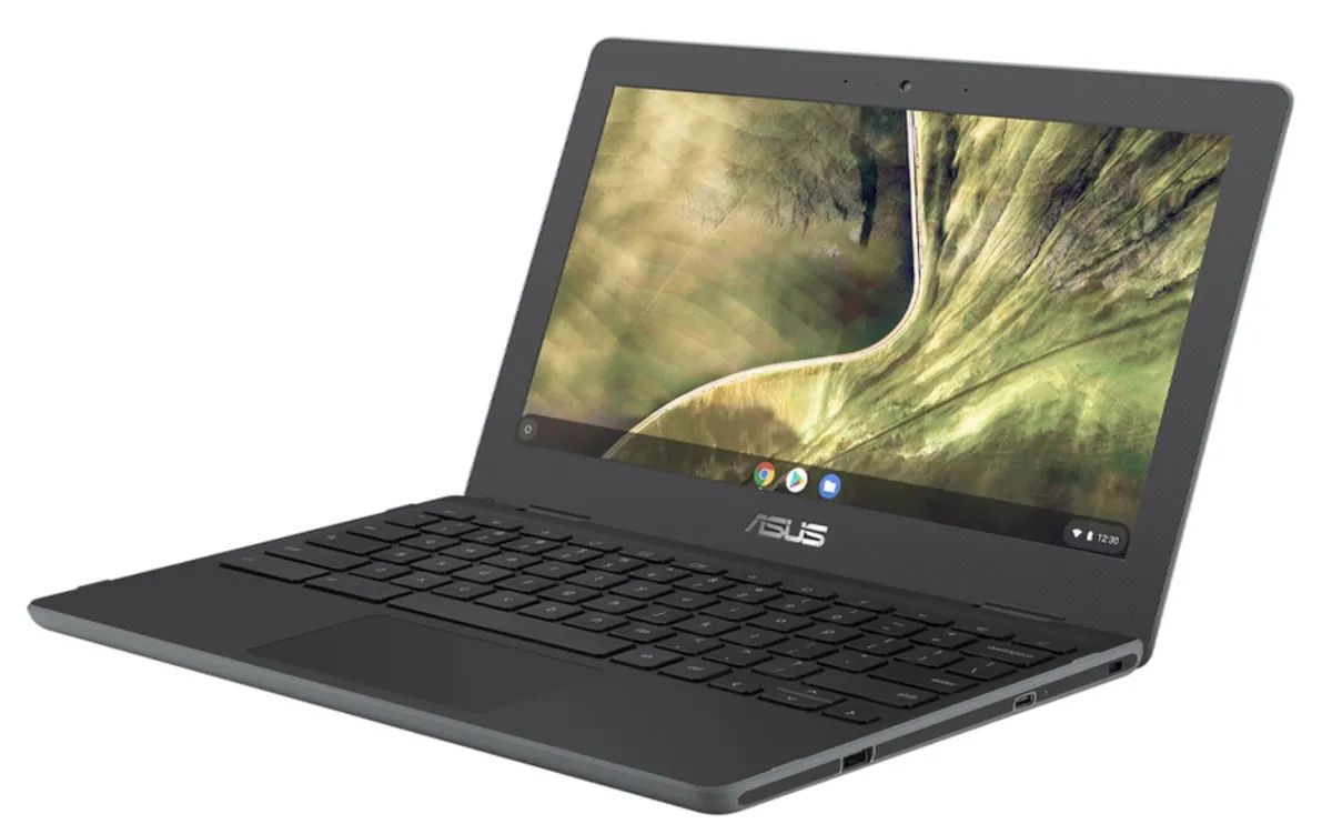 ASUS ChromeBook C204MA - Intel Celeron N4020