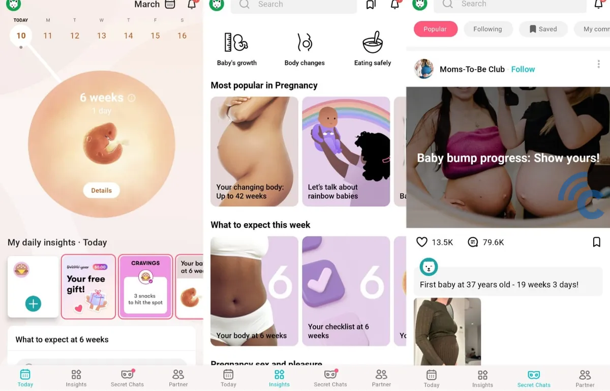 Flo Period & Pregnancy Tracker