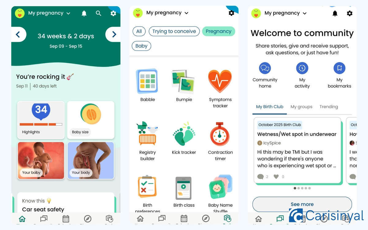 BabyCenter Pregnancy App_